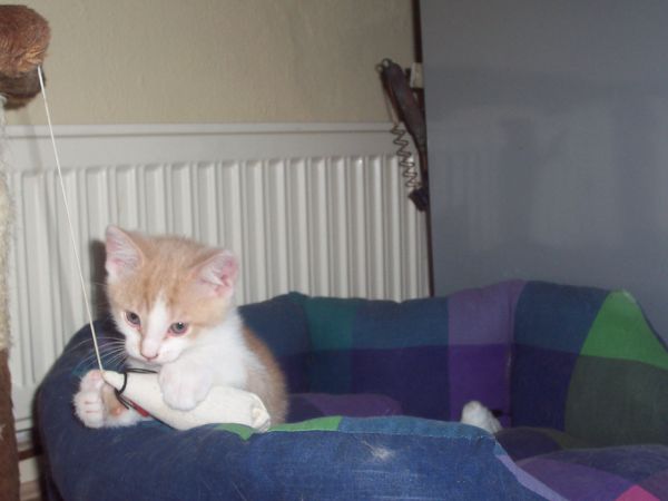 Click to view full size image