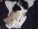 100_0372.jpg