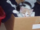 100_0374.jpg