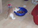 100_0379.jpg