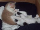100_0382.jpg