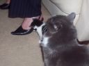 100_0389.jpg