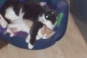 100_0431.jpg