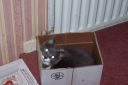 100_0076.JPG