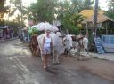 Beach_road_Candolim.JPG