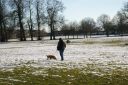 IMGP0292.JPG
