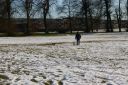 IMGP0296.JPG
