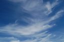 DSC_1130.JPG