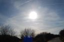 DSC_1146.JPG