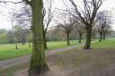 DSC_2714.JPG