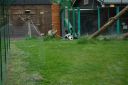 DSC_3116.JPG