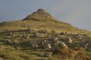DSC01582.JPG