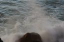 DSC01594.JPG
