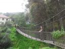 SDC10785.JPG