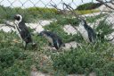 DSC01621.JPG