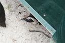 DSC01625.JPG