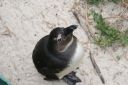 DSC01629.JPG