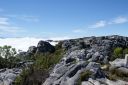 DSC01711.JPG