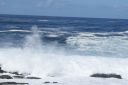DSC02147.JPG