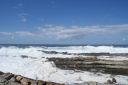 DSC02164.JPG