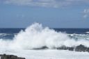 DSC02179.JPG