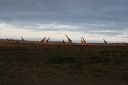 DSC02372.JPG