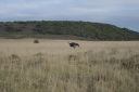 DSC02384.JPG