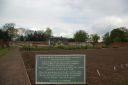 IMGP0241.JPG