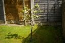 IMGP0381.JPG