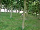 20140521_145434.jpg