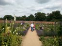 20140625_142110.jpg