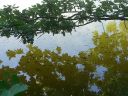 20140717_130529.jpg