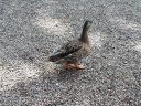 20140817_125018.jpg