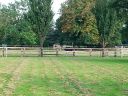 20140911_163629.jpg