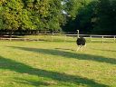 20140911_180130.jpg