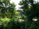 20150705_113226.jpg