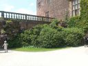 20160606_122658.jpg