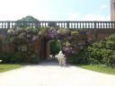 20160606_122700.jpg
