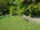 20160606_122714.jpg