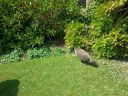 20160606_122718.jpg