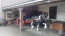 20171231_104511.jpg