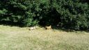 20180708_084232.jpg