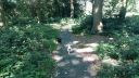 20180708_095113.jpg