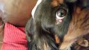 20181105_085944.jpg