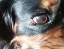 20181115_093424.jpg