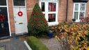 20181106_115057.jpg