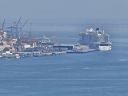 20260325_114115.jpg