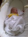 IMG-20120614-00279.jpg