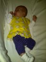 IMG-20120620-00334.jpg