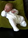 IMG-20120620-00337.jpg